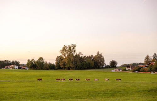 Vogelbauer Apartments - Foto 17