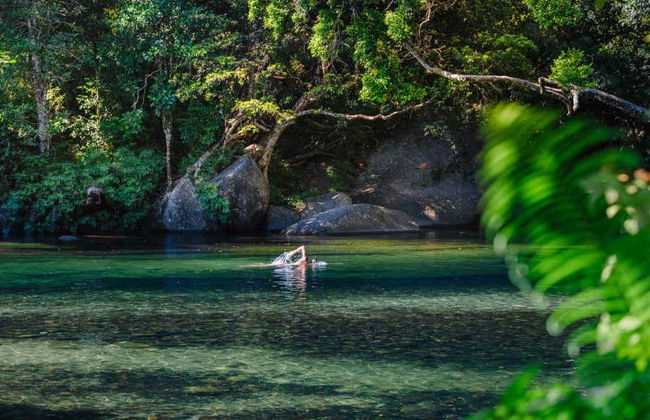 Excursión a Atherton Tablelands - Foto 6