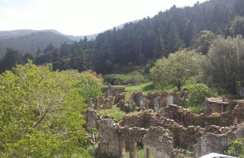 Renovated old traditional House - Photo 2