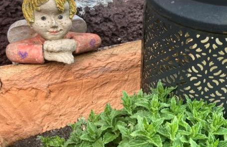 Ferienwohnung schöner Rheingau - Foto 25