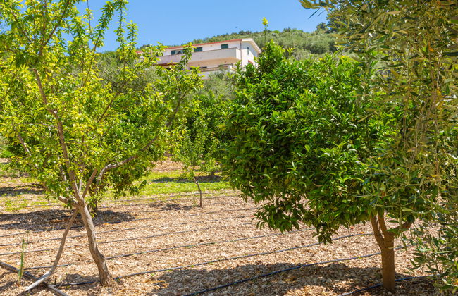 Villa Tavaglione - Foto 15