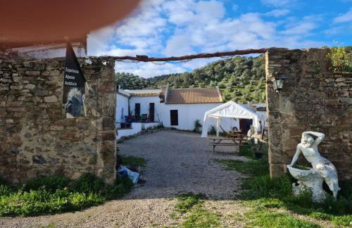 Experience Alpacas in Andalucia - Foto 16