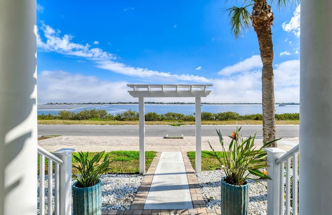 The Dolphins of Salt Run - Foto 9