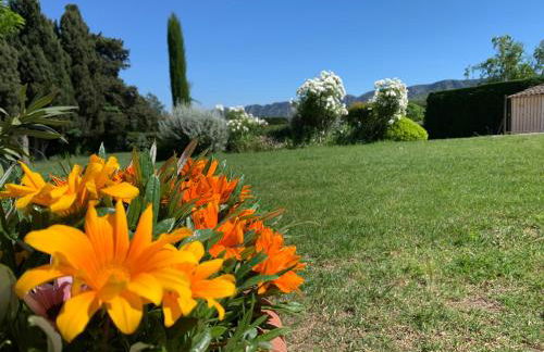 En Provence, Chez Stéphanie et Marcel - Foto 29