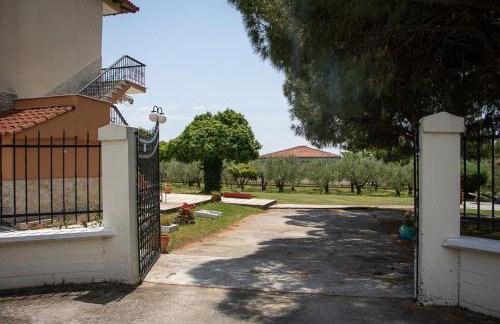 Olivemare Holidays - Foto 2