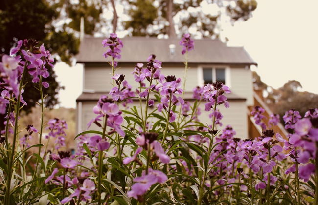 The Signal Box - Foto 1