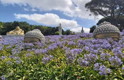 Fou de Foz - Foto 55