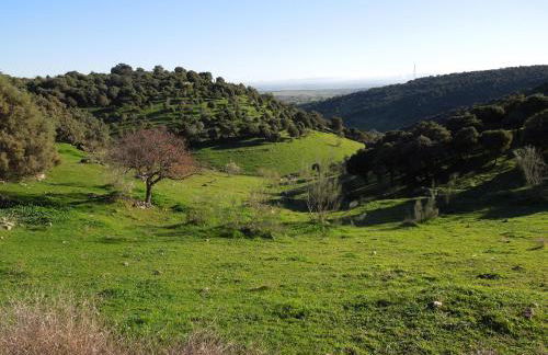 La Casita de Albino -jacuzzi-chimenea-museo - Foto 44