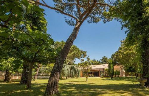 Villa avec piscine intérieur chauffée et parc privé au bord de mer à 3 minutes - Foto 6