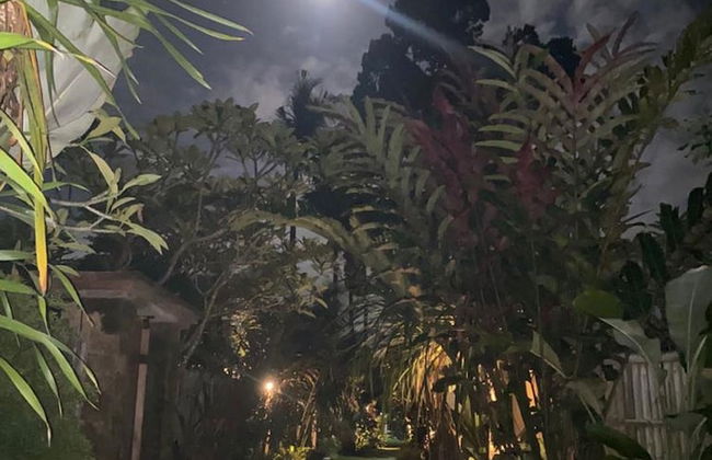 Sarini Villas - Foto 45