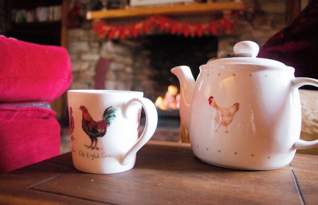 Quiet Cottage on the Rural Edge of Brixham - Foto 20