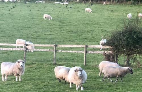 Princess Cottage - Foto 12