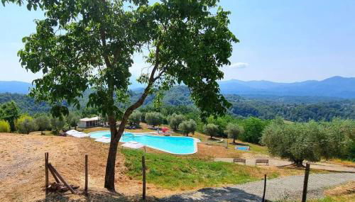 Appartamento La Mimosa - Foto 2