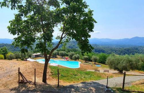 Appartamento La Mimosa - Foto 2