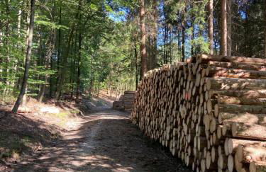 Ferienhaus Kleine Auszeit - Foto 68