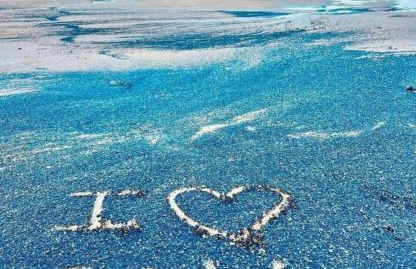 La Terracina - Foto 5