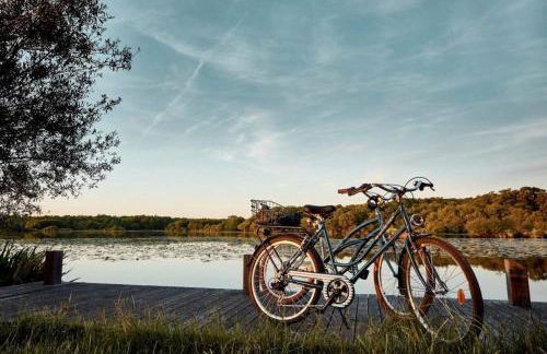 les resiniers - Foto 20