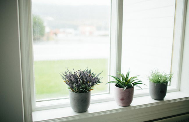 Hoepfner Historical House - Foto 13