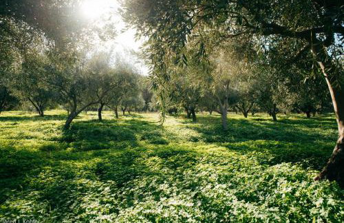 Red Tractor Farm - Foto 8