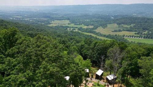 The Fox Tail Pine Treehouse at Treetop Escapes - Foto 4