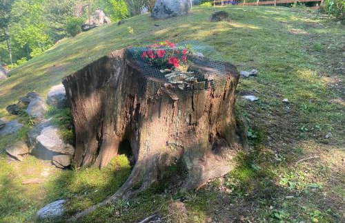 CASA VACANZA LA TERRAZZA - Foto 15