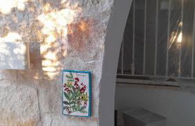 Casetta MaCa fronte mare - Foto 1