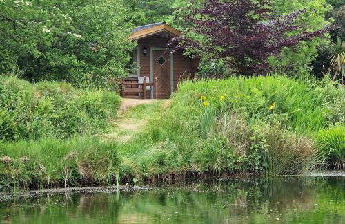 Polgwedhen Lodge - Photo 23