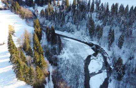 Ferienhof Wäldle - Wäldle 1 und Wäldle 2 mit Motorradvermietung - Photo 61