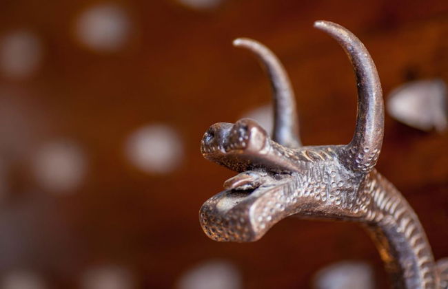 Castello delle Serre - Foto 37