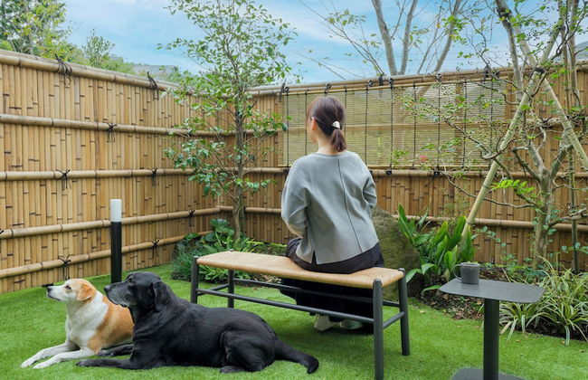 Rakuten STAY TERRACE Hakone Kowakudani - Foto 79