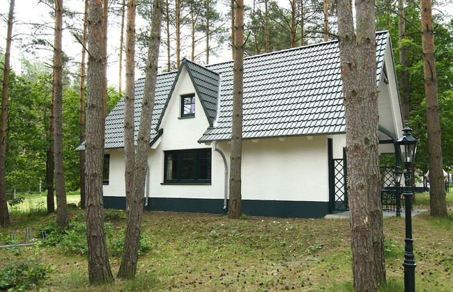 Semi-detached Houses at the Drewitzer See, Drewitz - Foto 28