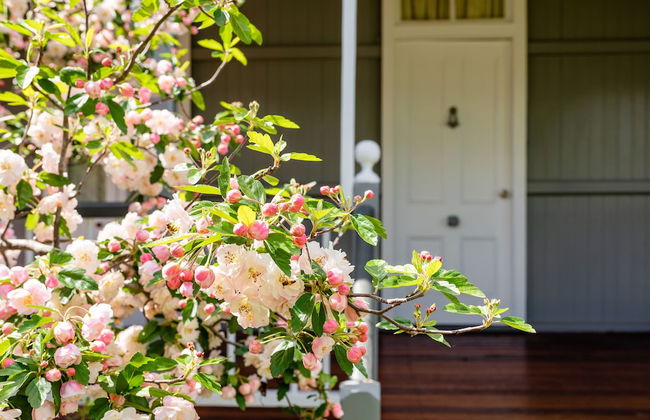 Apple Blossom Cottage - Photo 12