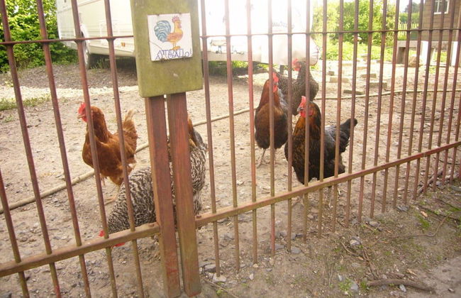 Pleasant Apartment in Munster - Foto 11