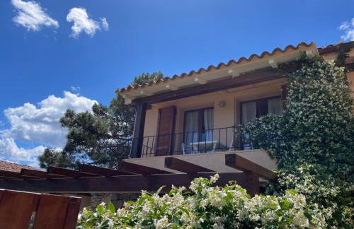 La tartaruga - Photo 12