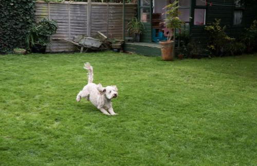 Harbourways Emsworth, Pet Friendly Coastal Retreat, Contractors & Leisure, Free Parking, Walk to Pubs - Photo 67