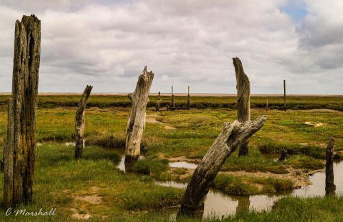 Miramare Cottage - Photo 40