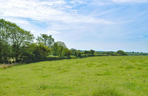 Manor Lodge Stables - Foto 25