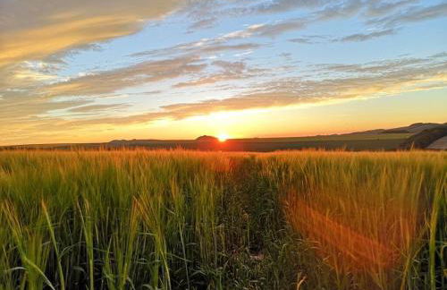 Kings Cottage - Heart of the Deverills - EV Point - Foto 36