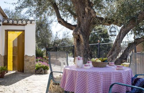 Cortijo Salva - Foto 2