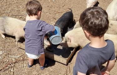 Arca dos Animais - Farming & SPA - Foto 60