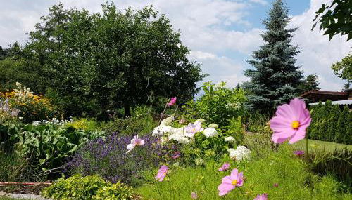 Ferienhof Sommergarten - Foto 4, Garden