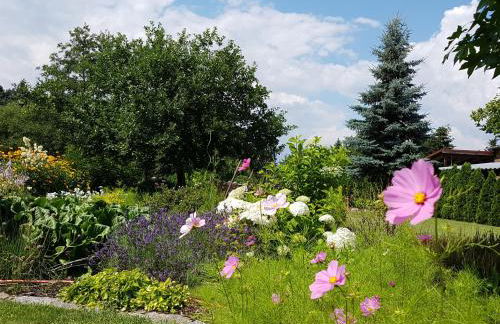 Ferienhof Sommergarten - Foto 4