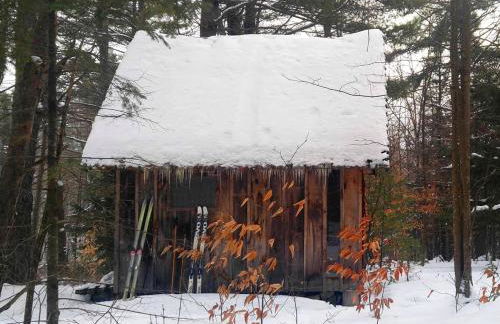 Charming Tiny House Rental with a Wood-Burning Fireplace near Gore Mountain, New York - Photo 5