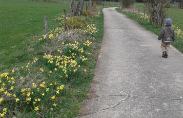 Ferienwohnung Peters - Foto 33