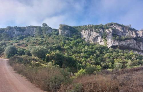 Maison proche Fatima batalha - Foto 37