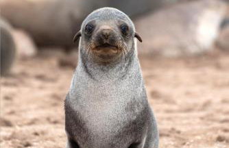 Aunt Ginnys River View - Photo 46