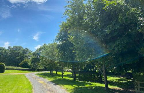 Old Orchard Cottage - Foto 16