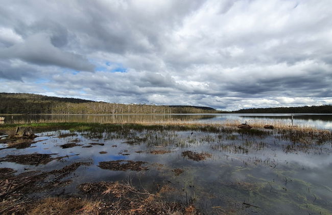 Lake Yalleena Nature Retreat - Foto 24