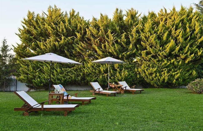 Villa Dimeon - Photo 13