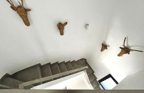 Gorgeous douplex apartment in Parque Holandes - Photo 8